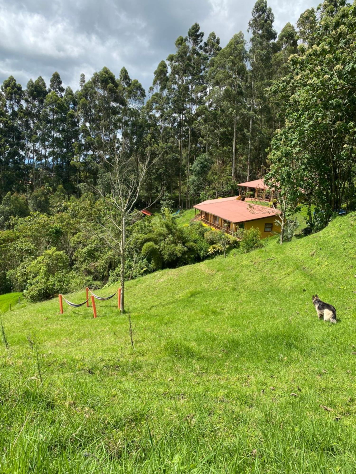 Ecoresort Gran Azul 살렌토 외부 사진