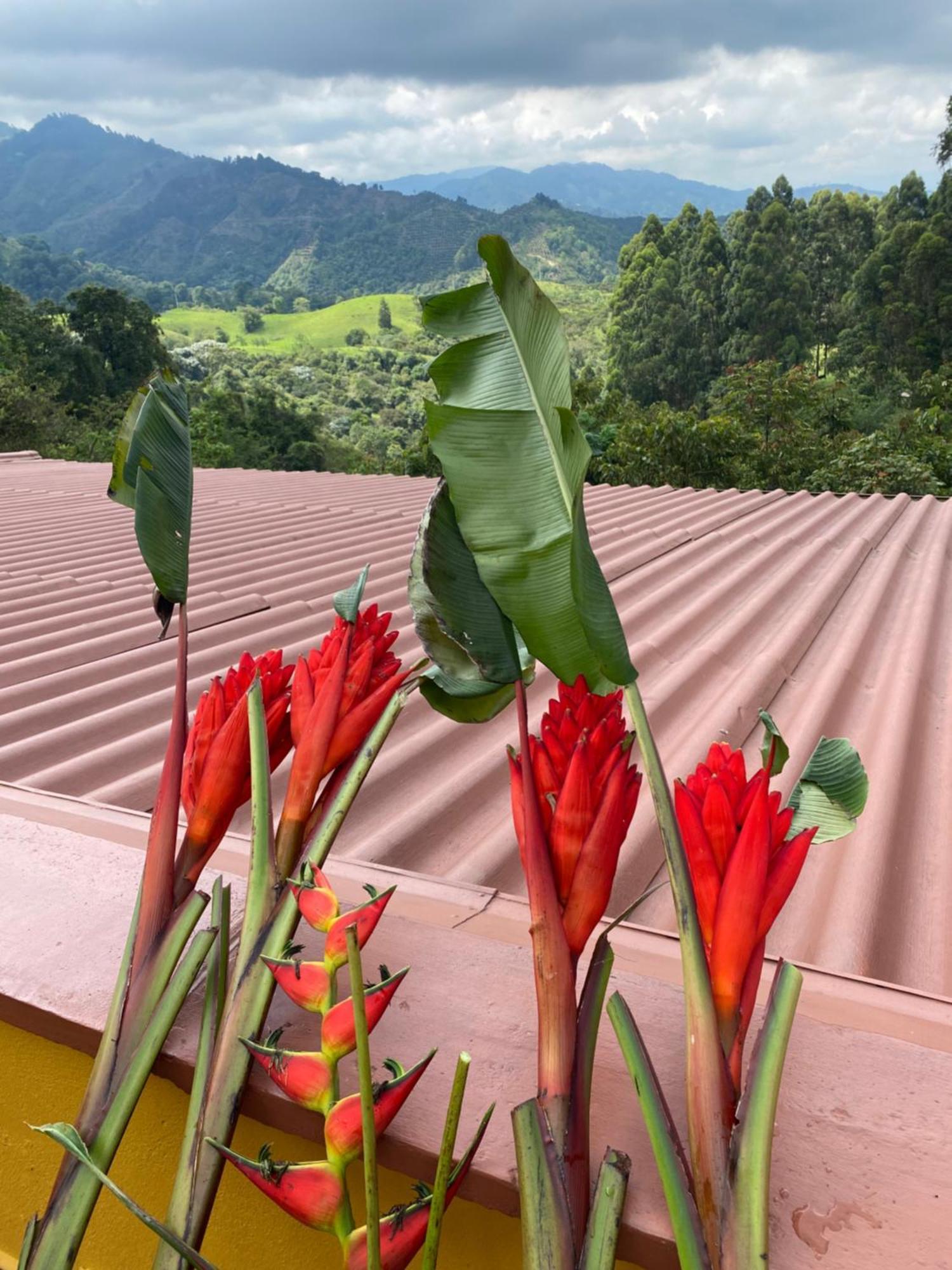 Ecoresort Gran Azul 살렌토 외부 사진